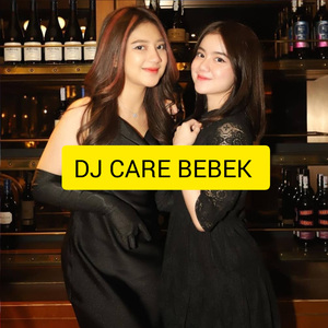 DJ CARE BEBEK
