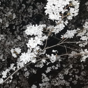 模糊记忆里清晰的针