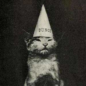 this is the last song of the album ok bye bye