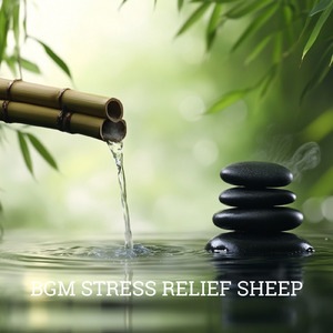 ヒーリングサウンド 睡眠