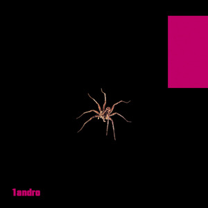 Me Despi de um Sonho