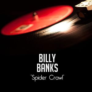 Mean Old Bed Bug Blues