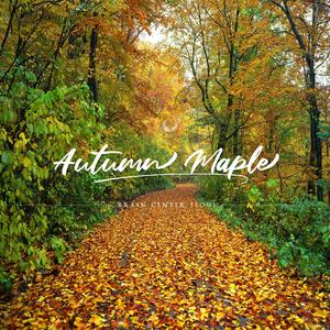 Autogenic Training, 落葉, Cúrame