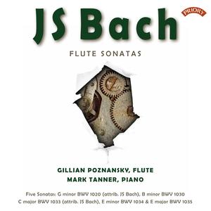 Sonata in E Major,  BWV 1035: I. Adagio ma non tanto