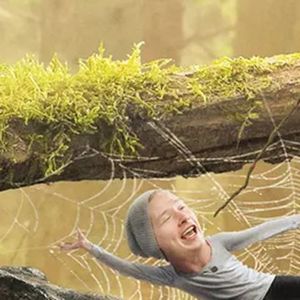 我没有歌迷有他景仰