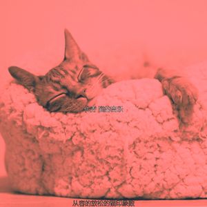 微妙的小猫心情