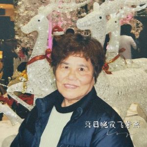 落日晚霞飞着燕