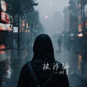 被诈骗