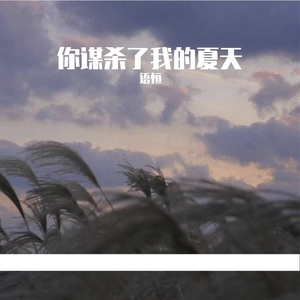 你谋杀了我的夏天