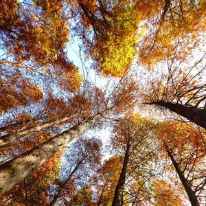 都市繁华夜未眠