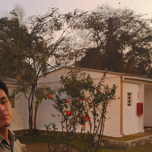 Arrullo de estorninos