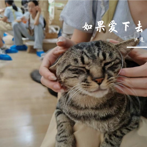 如果爱下去(男声版)