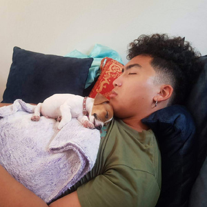 ชานม เจ้าหมาดื้อ (สัตว์เลี้ยง)