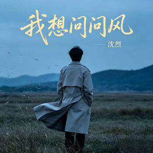 我想问问风