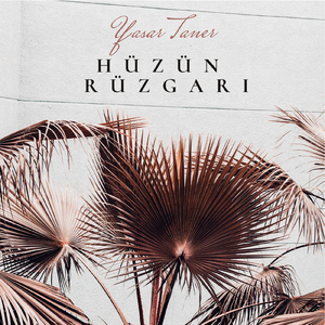 Hüzün Rüzgarı (Enstrumental)