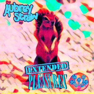 The Man on TV is Gay