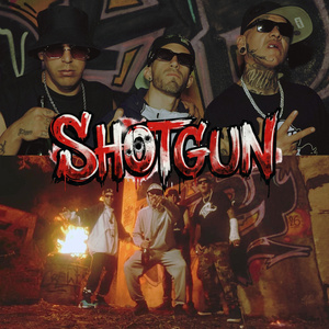 Shotgun