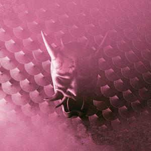 Toma Polak - Лова-Лова（混音3）