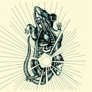 Broken Coffin Of The Venerable King