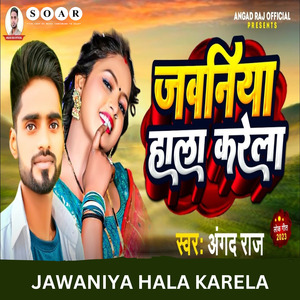 Jawaniya Hala Karela