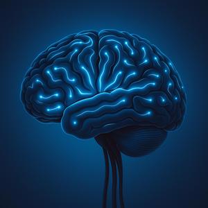 Neurotransmiters