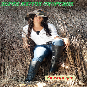 El Bohemio Arrepentido - Galope N