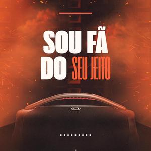 Sou Fã do Seu Jeito