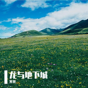 龙与地下城