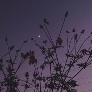 to the moon