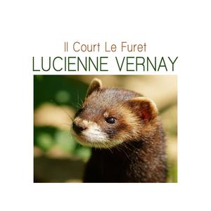 Il court le furet