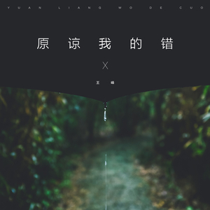 原谅我的错