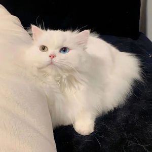 老墙裂缝 Type Beat