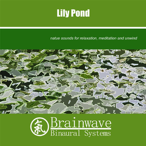 Lily Pond