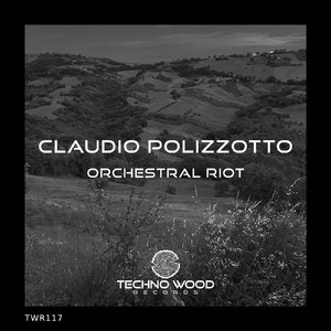 Orchestral Riot (Original Mix)