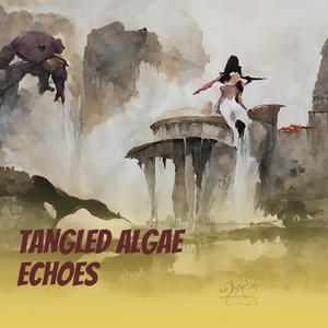 Tangled Algae Echoes