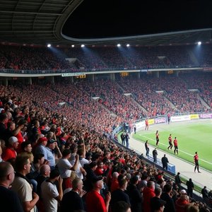 Allez Anderlecht