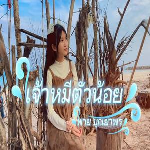 เจ้าหมีตัวน้อย