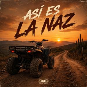 ASI ES LA NAZ