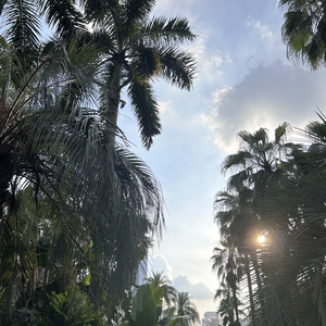 刻在我心底的名字