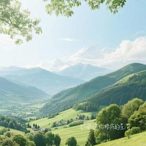 相册里褪色的合照