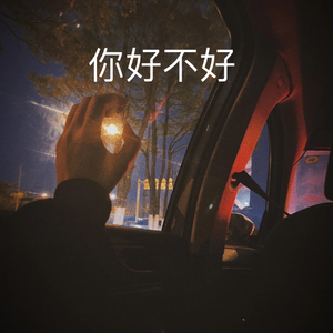 你好不好.mp3