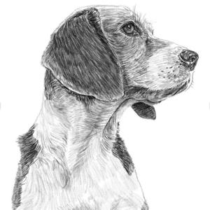 多想在平凡的生活拥抱你