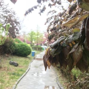 雨过天晴 见到彩虹（prod by Red killer)