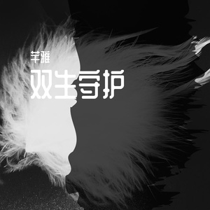 双生守护