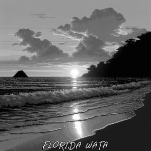 FLORIDA WATA