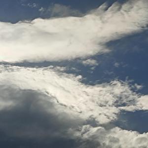 好烦噢（cover）