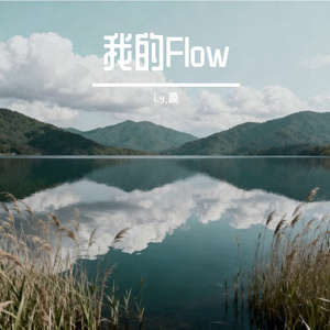 我的Flow