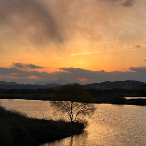 전하고 싶은 말