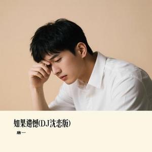 如果遗憾 (DJ沈恋版)