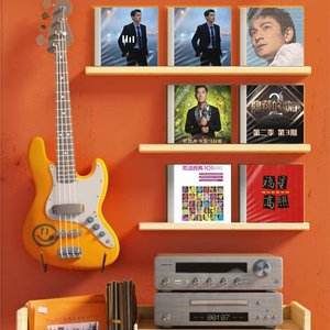 《爱情的小偷》